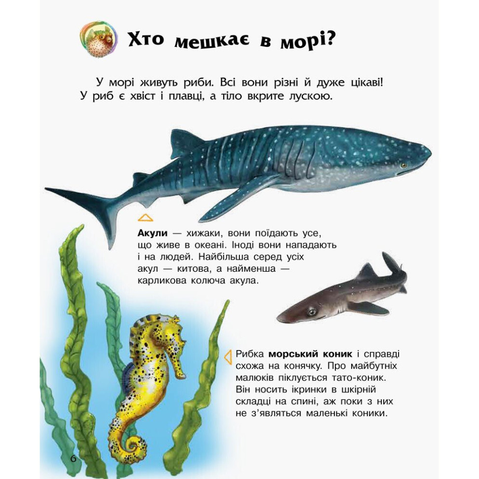 Енциклопедія дошкільника Океани та моря 614055 для найменших — фото 2