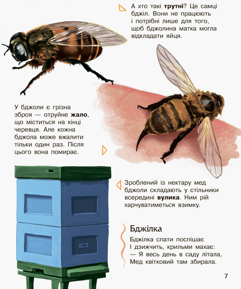 Дитяча енциклопедія про комах 614014 для дошкільнят — фото 2