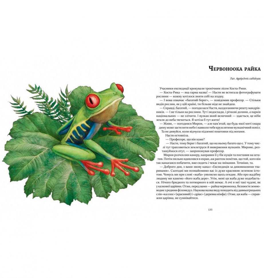 Книга "Експедиція за дивовижними тваринами" 152961 — фото 6