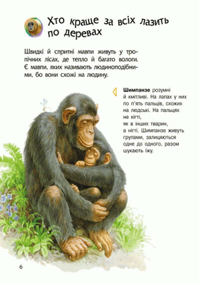 Детская энциклопедия про животных 614005 для дошкольников — фото 7