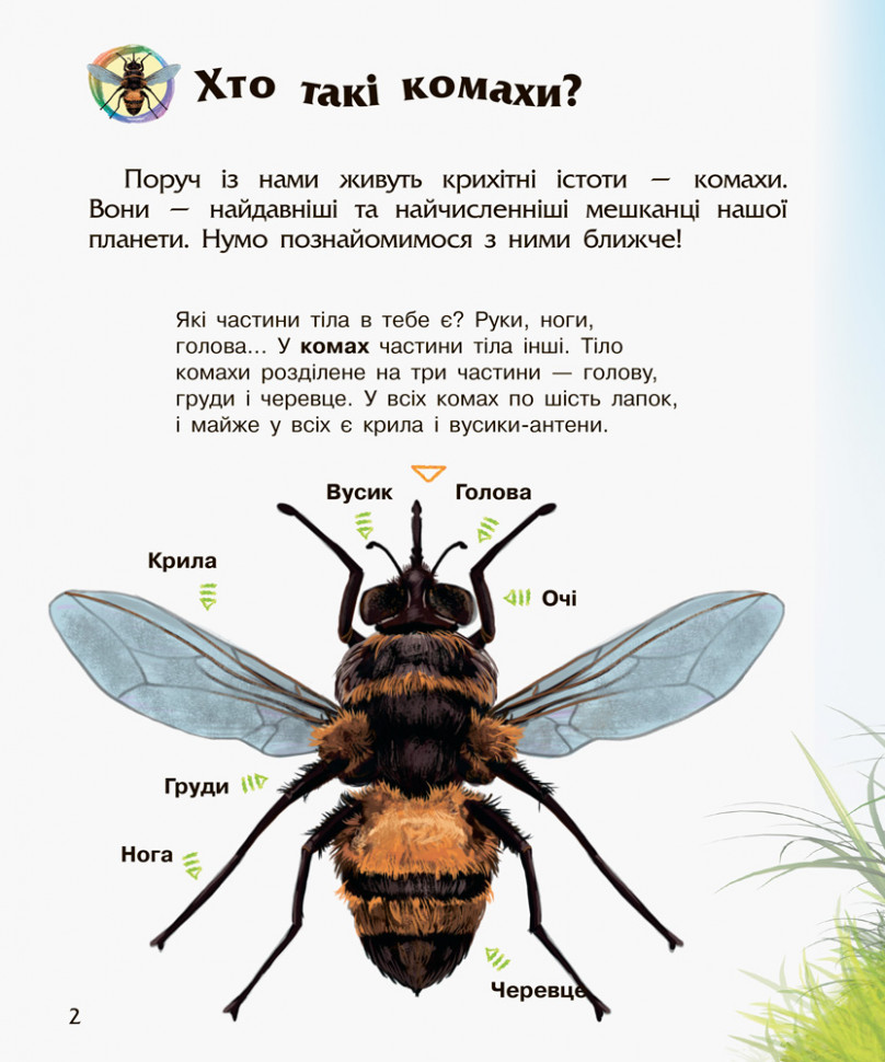 Дитяча енциклопедія про комах 614014 для дошкільнят — фото 7