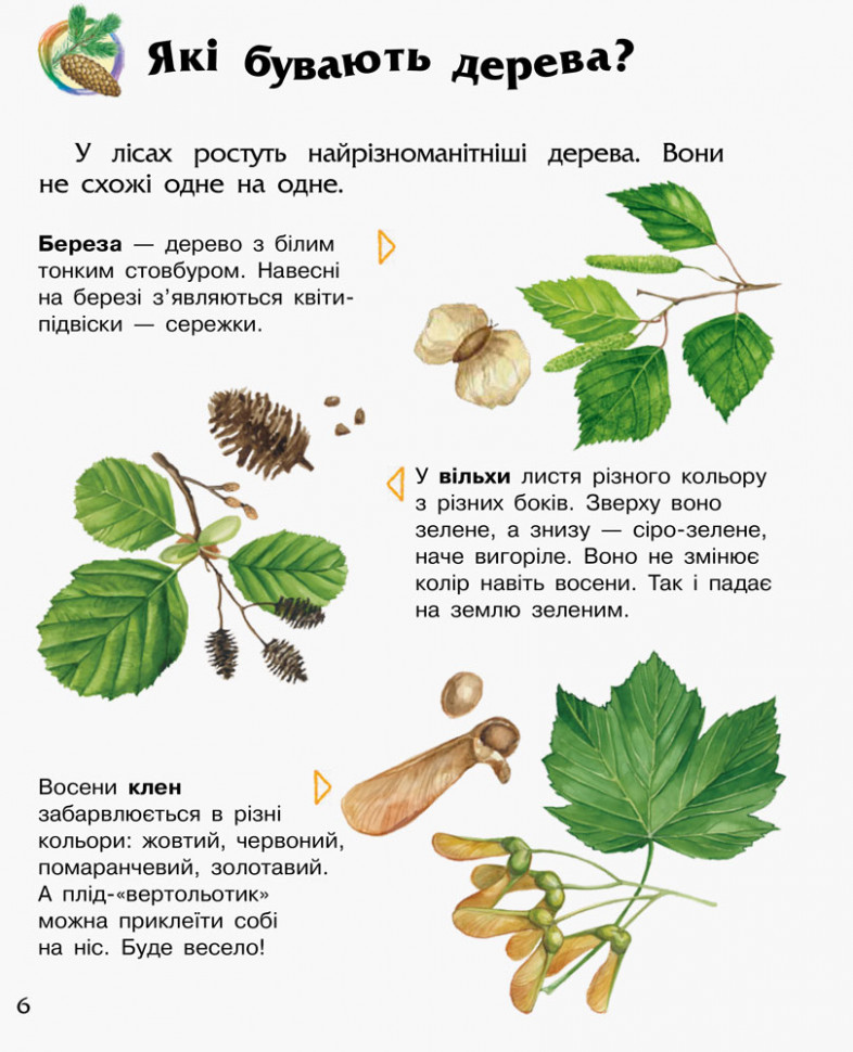 Дитяча енциклопедія про ліс 614016 для дошкільнят — фото 3