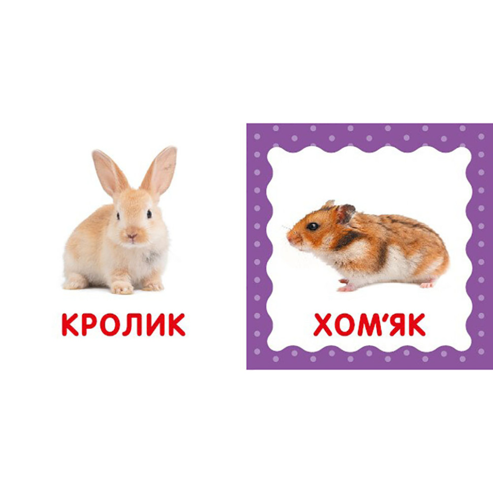 Перша книжка малюка "Свійські тварини" 165050 картон, 12 сторінок — фото 2