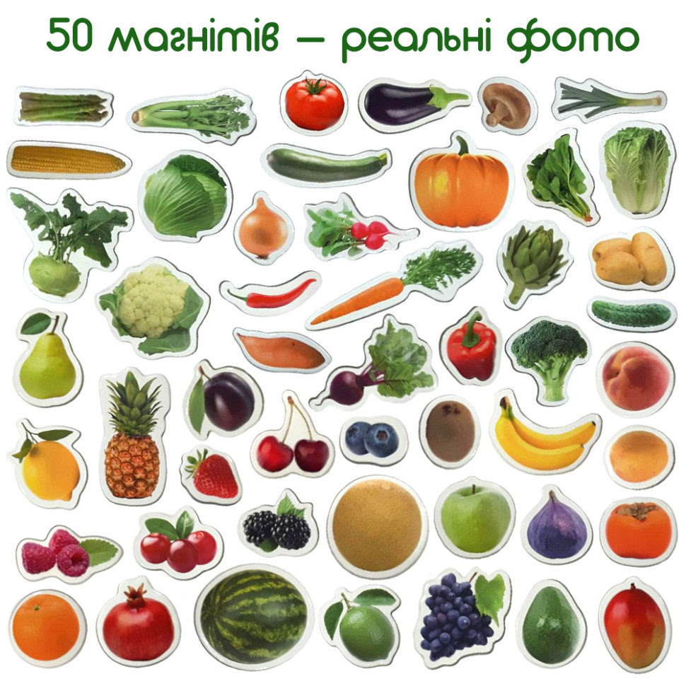 Набір магнітів Magdum "Фрукти і овочі" ML4031-15 EN — фото 3