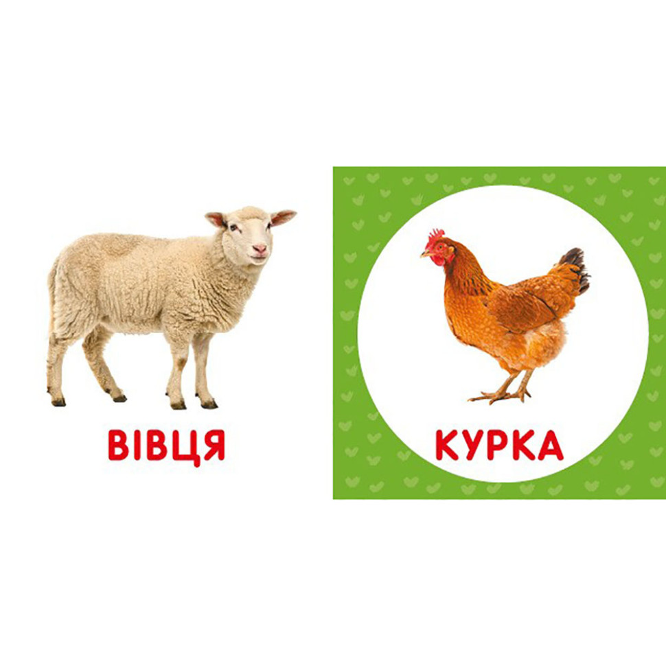 Перша книжка малюка "Свійські тварини" 165050 картон, 12 сторінок — фото 3